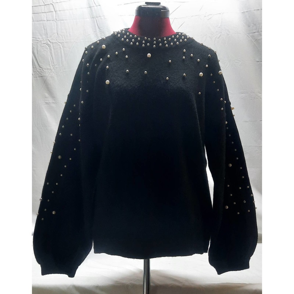 NWOT INC International Concepts Crew Neck Sweater with Faux Pearls LG